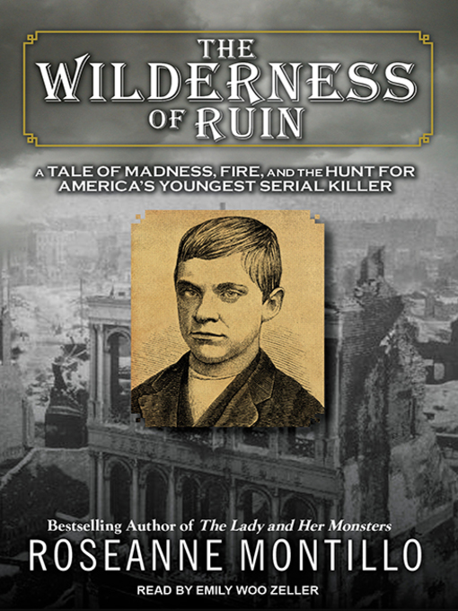 Title details for The Wilderness of Ruin by Roseanne Montillo - Wait list